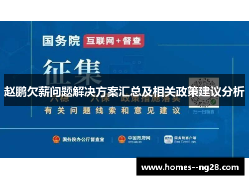 赵鹏欠薪问题解决方案汇总及相关政策建议分析